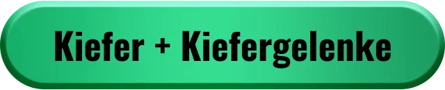 Kiefer und Kiefergelenke